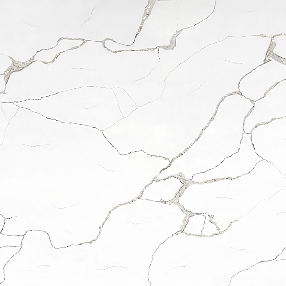 8119-F00-1200