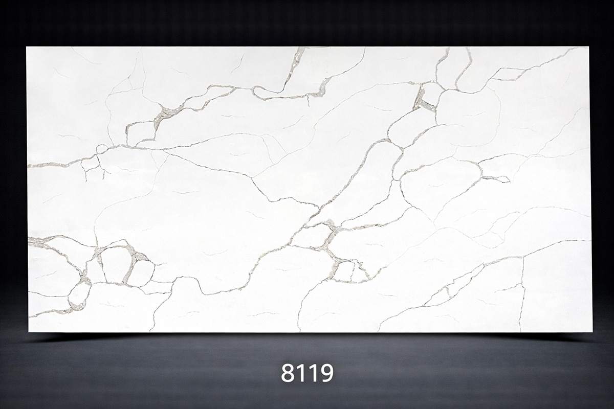 8119-F00
